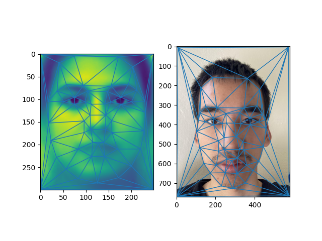 NewAverageAnyMyFaceDelaunay