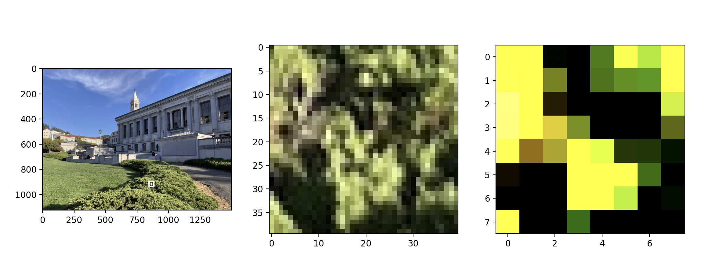 feature descriptor bush